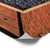 Poster van de achterpoten — SRF (Hoek)