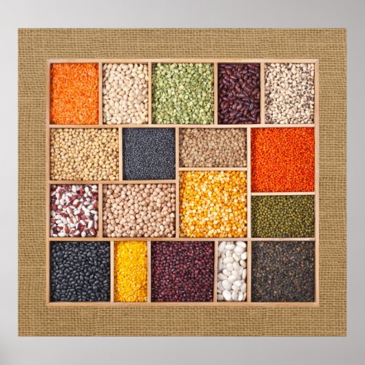 Poster van de achterpoten — SRF (Voorkant)