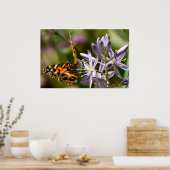 Poster van de Amerikaanse Lady Butterfly Wild Hyac (Keuken)