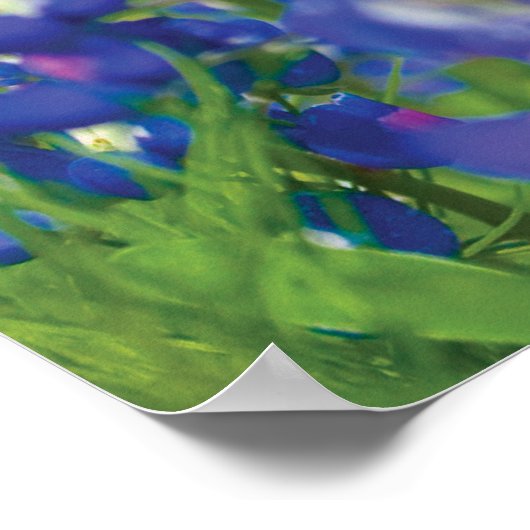 Poster van de Amerikaanse vlag (Hoek)