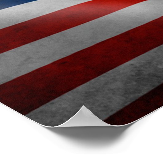 Poster van de Amerikaanse zeegarend (Hoek)