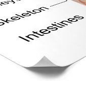 Poster van de anatomigenkaart van het menselijk li (Hoek)