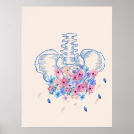 Poster van de anatomische bekken van Floral