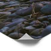 Poster van de Beach Natuur Beach (Hoek)