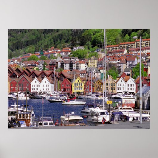 Poster van de bergachtige Marina (Voorkant)