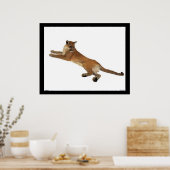 Poster van de berglion (Keuken)