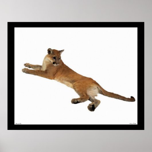 Poster van de berglion (Voorkant)