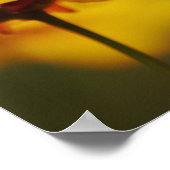 Poster van de Bijbelscriptie van de vlinderbloemfl (Hoek)