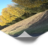 Poster van de boomrij (Hoek)