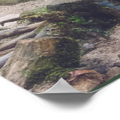 Poster van de boswaterval (Hoek)