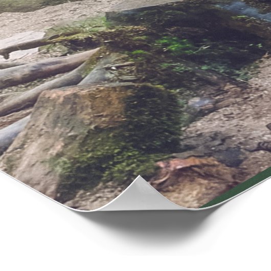 Poster van de boswaterval (Hoek)