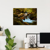 Poster van de boswaterval (Thuiskantoor)