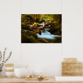 Poster van de boswaterval (Keuken)