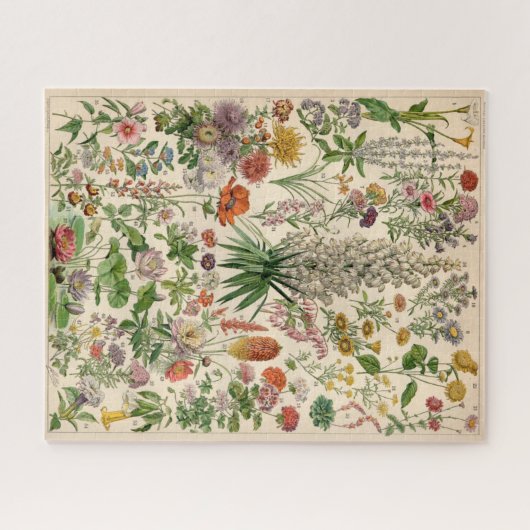 Poster van de botanische ventilator Legpuzzel (Horizontaal)