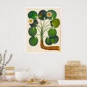  Poster van de Botanische Waterlust (Keuken)