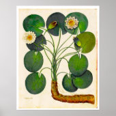Poster van de Botanische Waterlust (Voorkant)