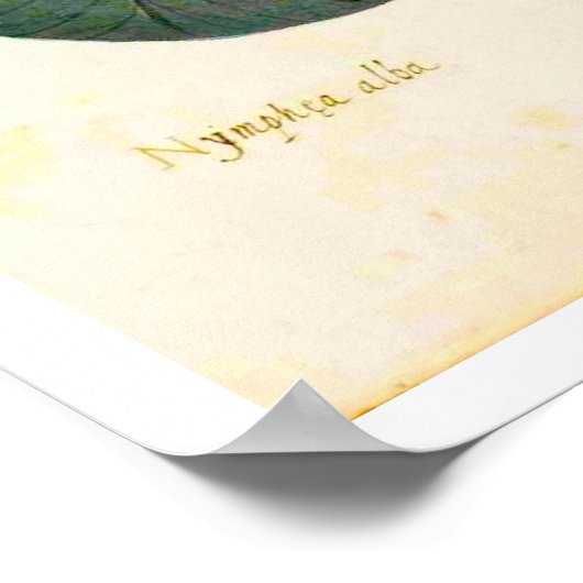  Poster van de Botanische Waterlust (Hoek)