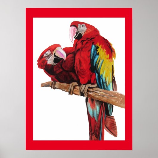 Poster van de Bright Red Macaw Parrots Parrot Wate (Voorkant)