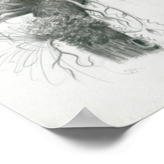 Poster van de Cambodjaanse vogelpest door Vannak P (Hoek)