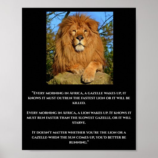 Poster van de citaten van Lion en Gazelle (Voorkant)
