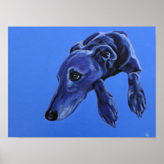 Poster van de 'Cobalt Daydroom' - blauwe luierhond