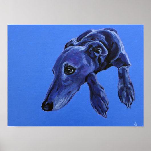 Poster van de 'Cobalt Daydroom' - blauwe luierhond (Voorkant)