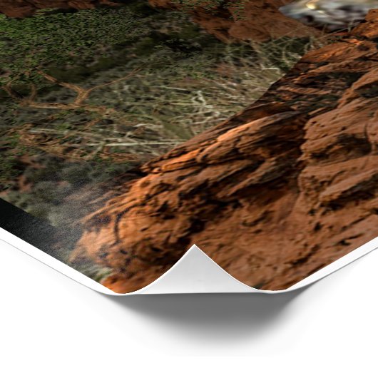 poster van de cougar (Hoek)