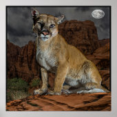 poster van de cougar (Voorkant)