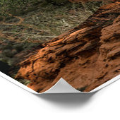 poster van de cougar (Hoek)