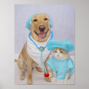 Poster van de dierenarts