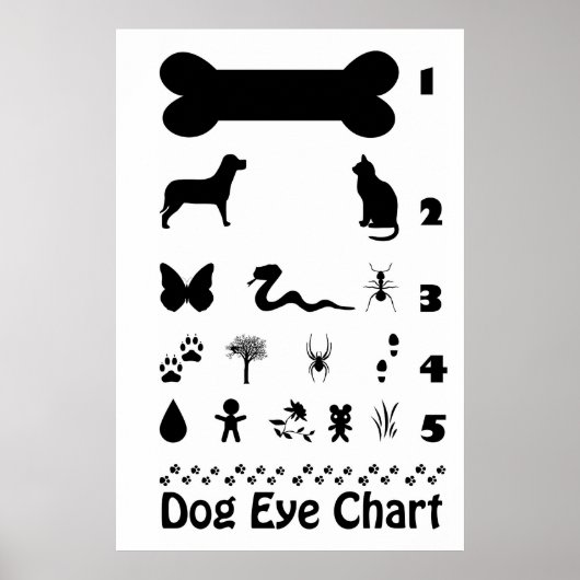 Poster van de Dog Eye Chart (Voorkant)