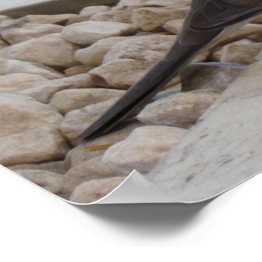 Poster van de duif, aanpasbaar (Hoek)