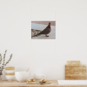 Poster van de duif, aanpasbaar (Keuken)