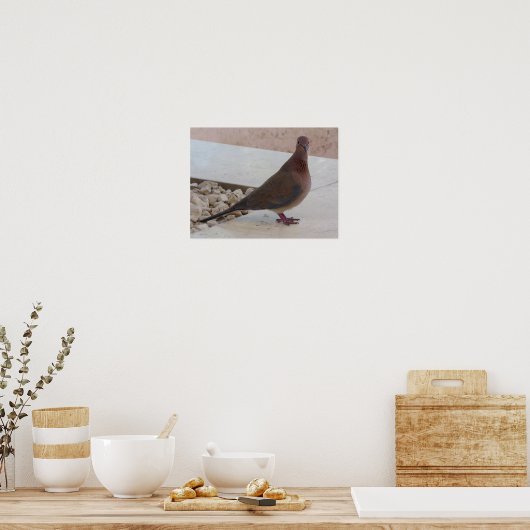 Poster van de duif, aanpasbaar (Keuken)