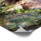 Poster van de Europese Robin on log (Hoek)