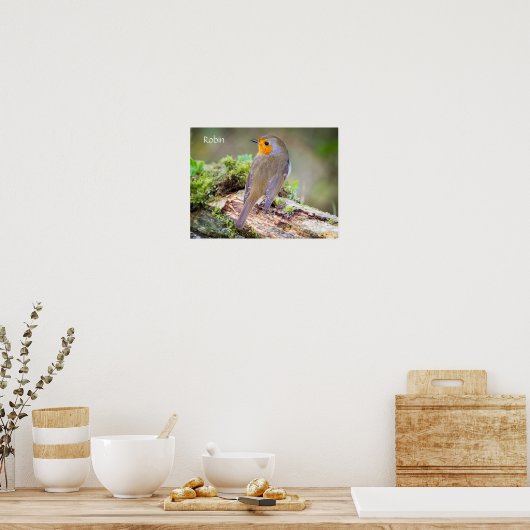 Poster van de Europese Robin on log (Keuken)