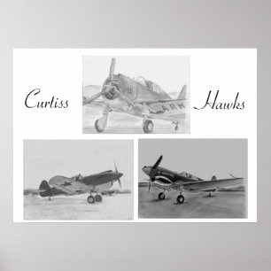 Poster van de familie Curtiss Hawk