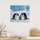 Poster van de familie Penguin (Keuken)