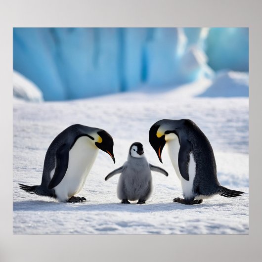 Poster van de familie Penguin (Voorkant)