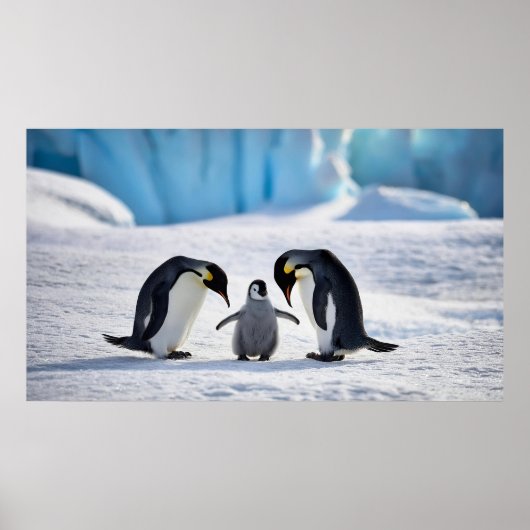 Poster van de familie Penguin (Voorkant)