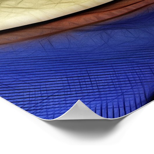 Poster van de feestelijke wet (Hoek)