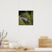 Poster van de Geel-volle Night Heron (Keuken)