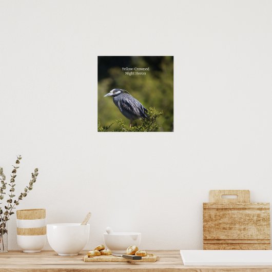 Poster van de Geel-volle Night Heron (Keuken)