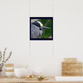 Poster van de Geel-volle Night Heron (Keuken)