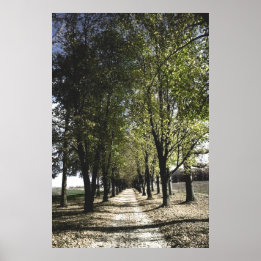 poster van de gele bosbouw