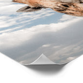 Poster van de Giraffe die aan de nek vastkleeft (Hoek)