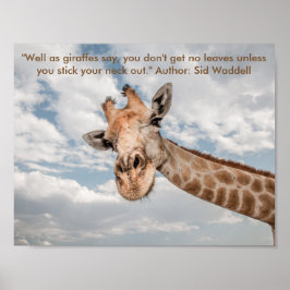 Poster van de Giraffe die aan de nek vastkleeft