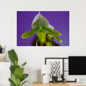 Poster van de groene en witte dame Slipper Orchid (Thuiskantoor)