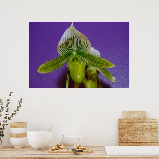 Poster van de groene en witte dame Slipper Orchid (Keuken)