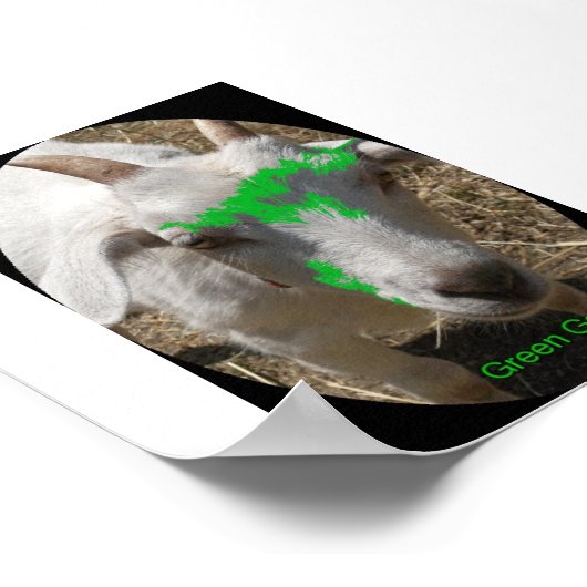 Poster van de groene geitengalerij met "Pushy" (Hoek)